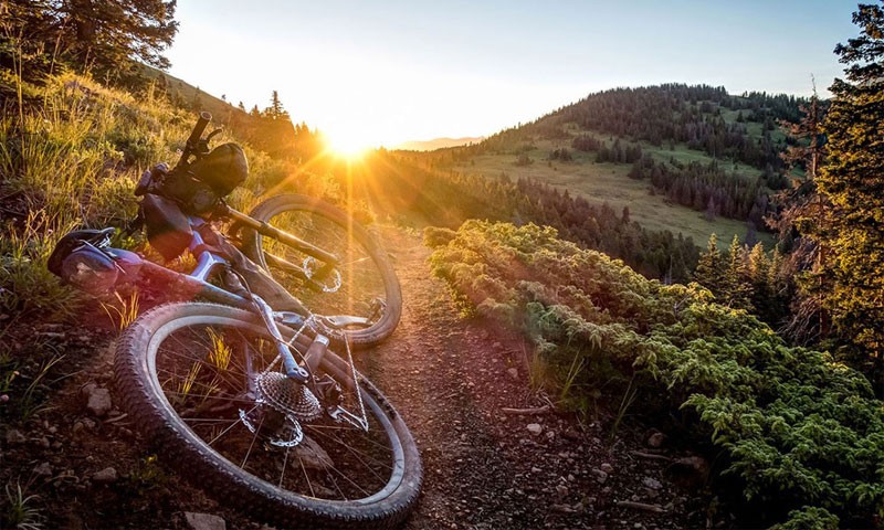 omnis-veniam-quo-libero-optio-ex